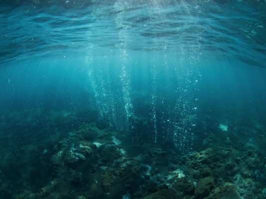 Underwater geothermal activity in the hot springs in Kleifarvatn, Iceland