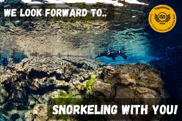 We look forward to snorkeling Silfra with you.