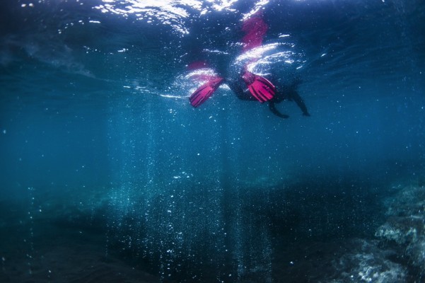 Snorkel over hot spring bubbles in a lake in Iceland