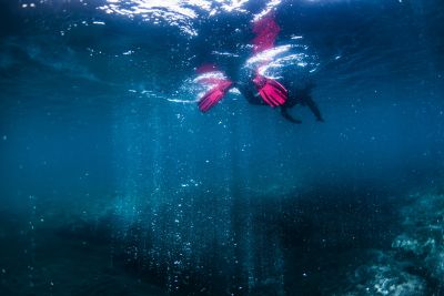 wideangle-blue-bubble-columns-snorkeler-redfins-by-e-magnusson-400x267-q80 wideangle-blue-bubble-columns-snorkeler-redfins-by-e-magnusson-400x267-q80.jpg