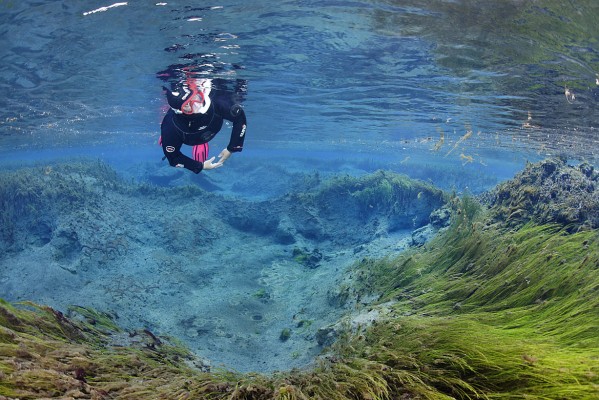 green-algea-on-diamond-circle-north-iceland-snorkeling-with-dive.is-599x400.jpg