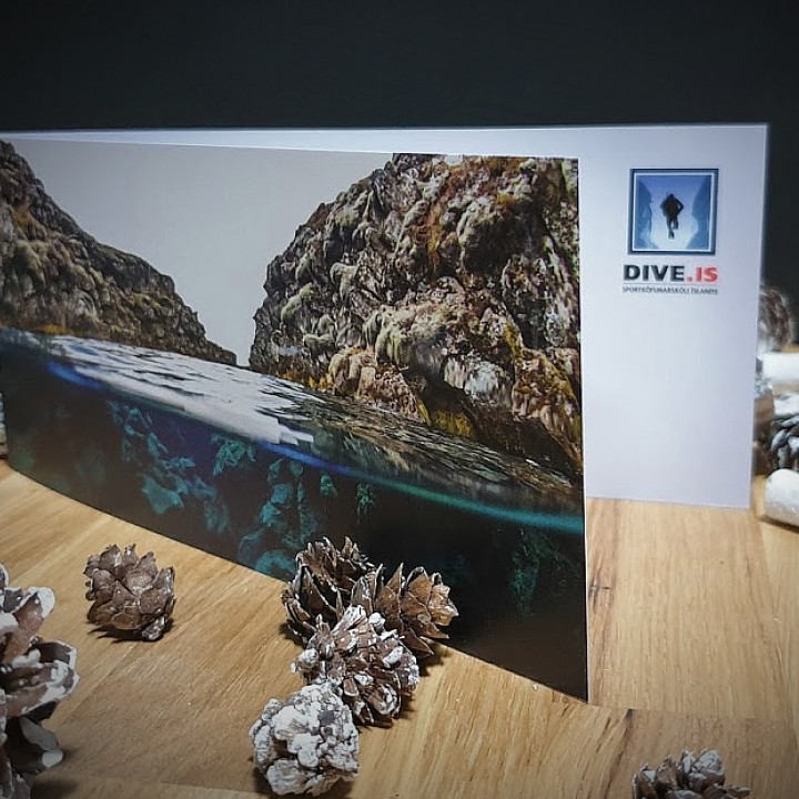 dive-gift-card-720x720.jpg