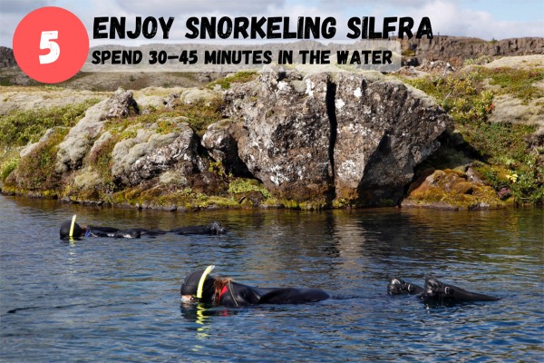Spend about 30-45 minutes in the water during your snorkeling tour.
