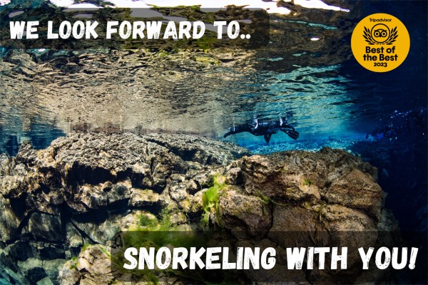 We look forward to snorkeling Silfra with you.