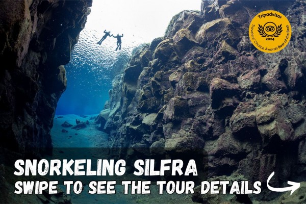 Swipe to see the tour details for the Snorkeling tour, meet on location.