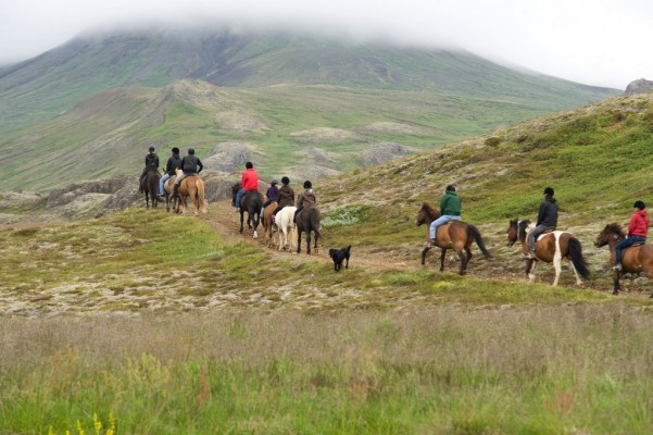 Group of riders riding with Icelandic horses into mountain landscape covered by green grass and moss