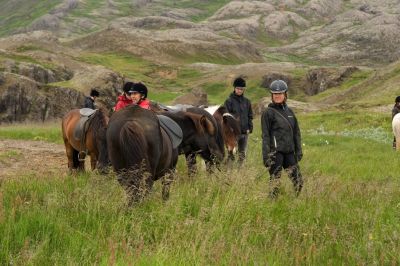 horses-and-riders-in-the-grass-on-tour-with-laxnes-and-diveis-400x266-q80.jpg