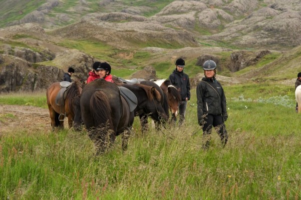 Horseback riders and Icelandic horses taking break in green grass landscape close to river canyon Iceland