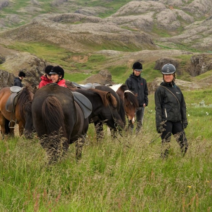 horses-and-riders-in-the-grass-on-tour-with-laxnes-and-diveis-720x720.jpg