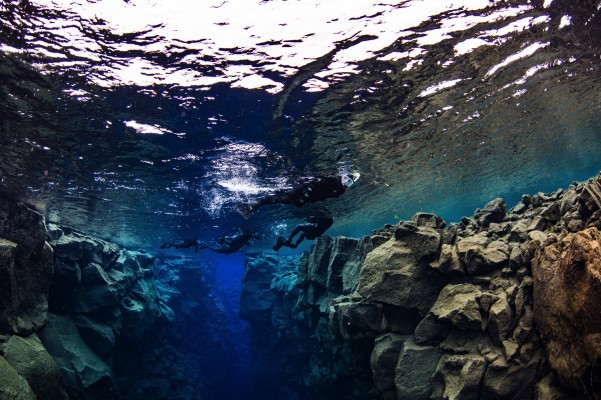 snorkeling tour floating over clear blue colors of silfra fissure between the continental plates in Iceland