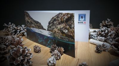 dive-gift-card-400x222-q80.jpg