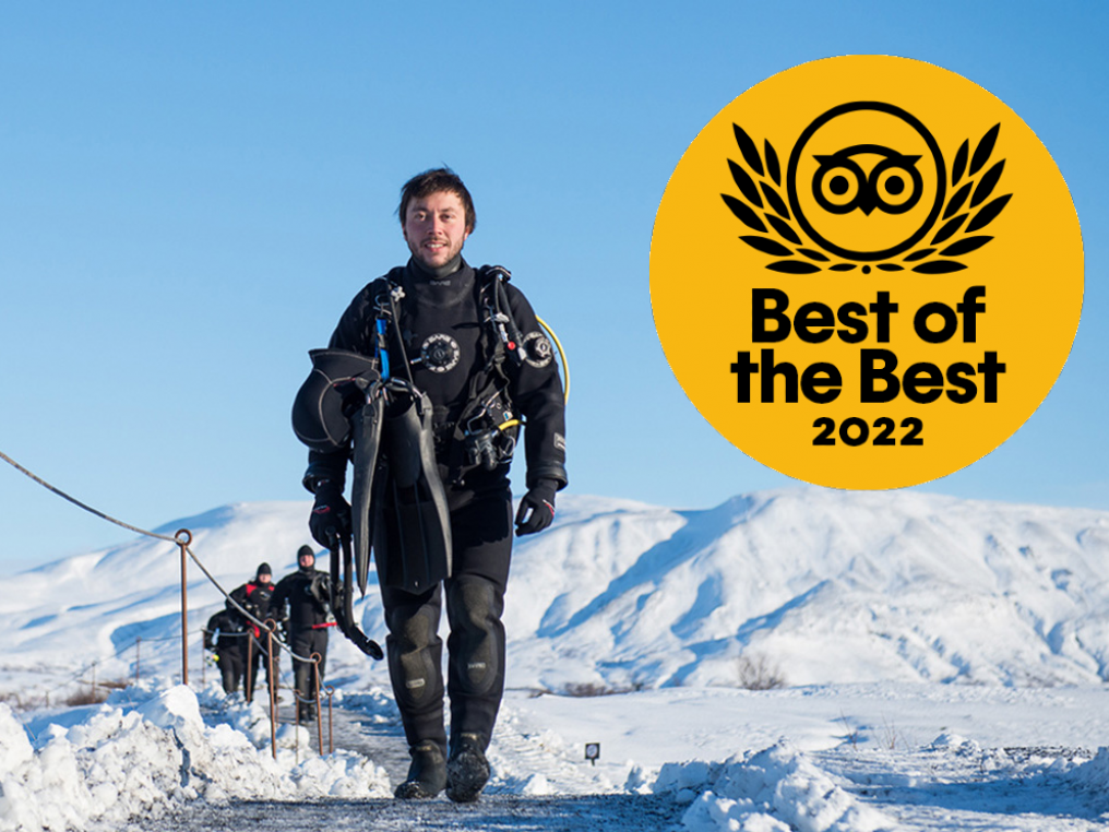 Smiling Dry suit diver next to our TripAdvisor badge Smiling Dry suit diver next to our TripAdvisor badge